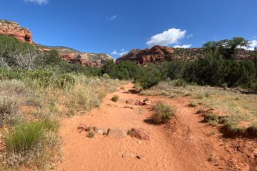 brown sand and green grass during daytime