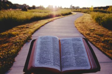 opened book on brown field during daytime