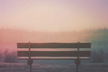 brown wooden bench in field