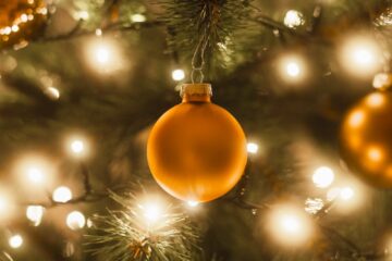 Close-up of a decorated christmas tree with lights.